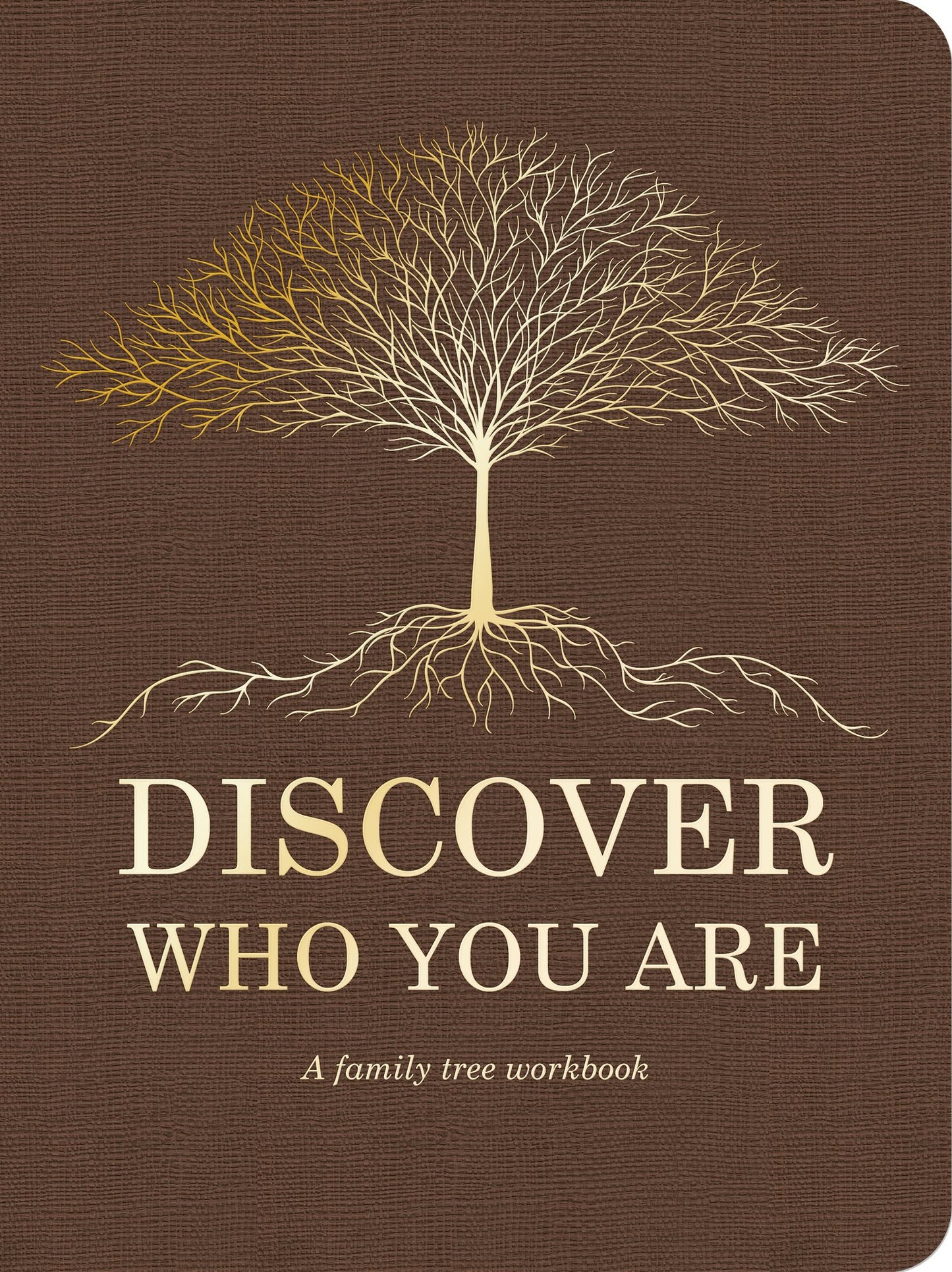 Discover Who You Are