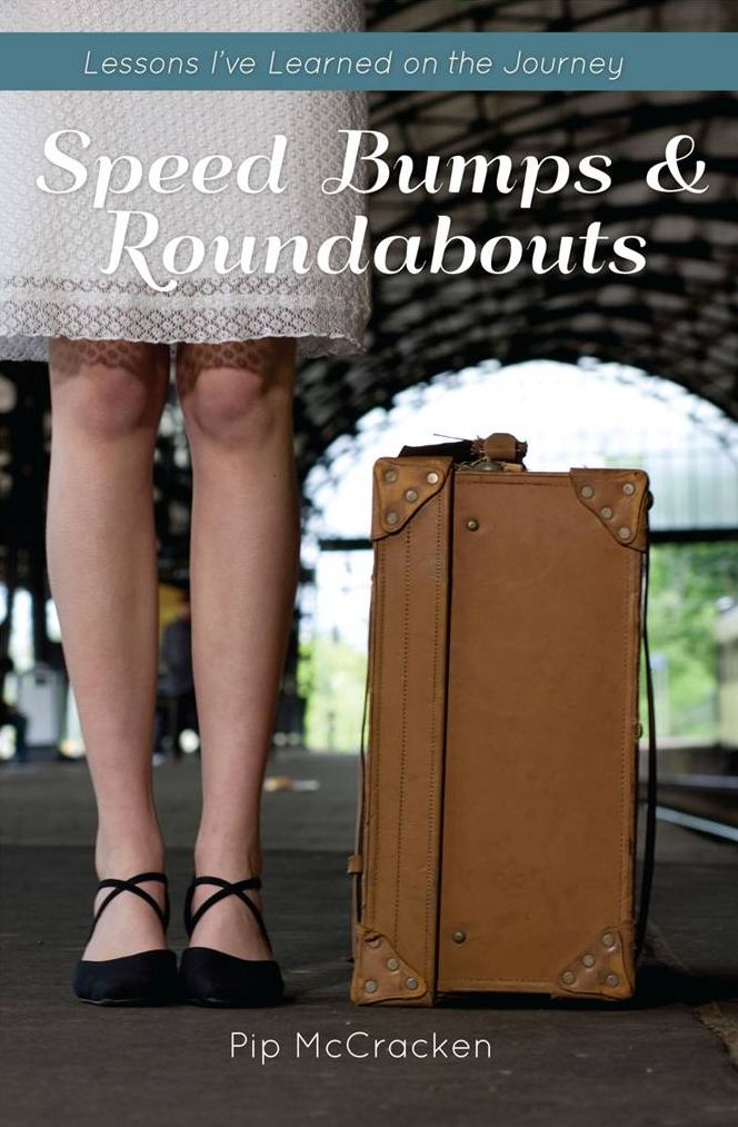 Speed Bumps and Roundabouts: Lessons I've Learned on the Journey