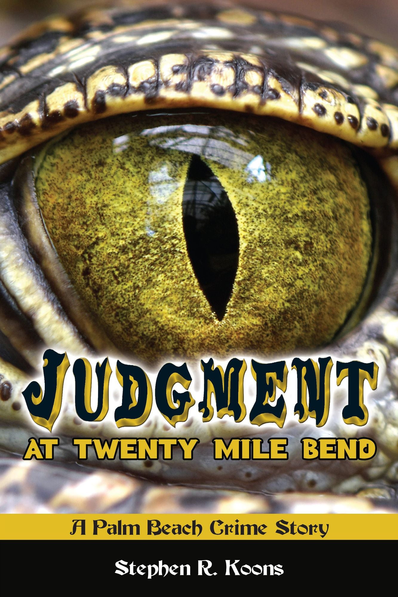 Judgment at Twenty Mile Bend: A Palm Beach Crime Story