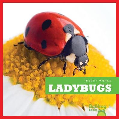 Ladybugs
