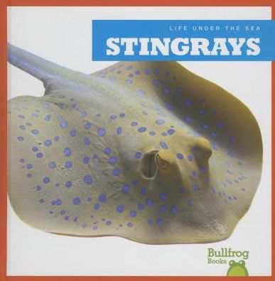 Stingrays