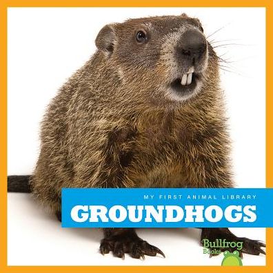 Groundhogs