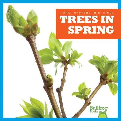 Trees in Spring