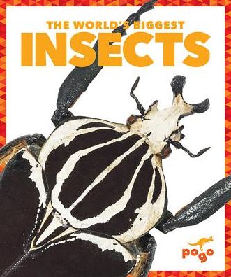The World's Biggest Insects