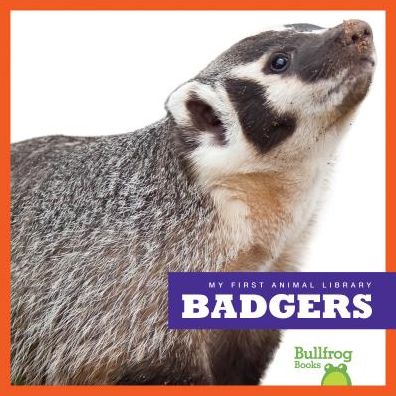 Badgers