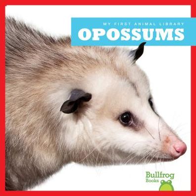Opossums