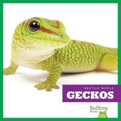 Geckos