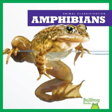 Amphibians