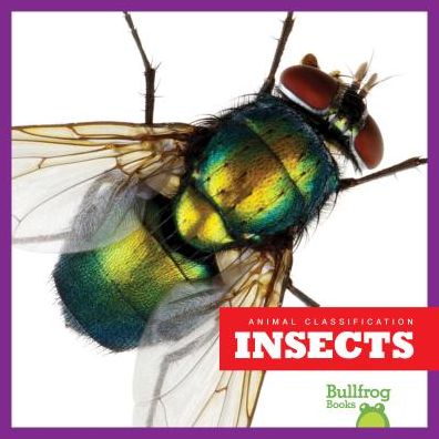 Insects