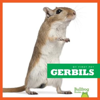 Gerbils