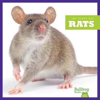 Rats