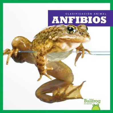 Anfibios / Amphibians