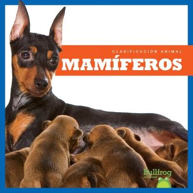 Mamiferos / Mammals