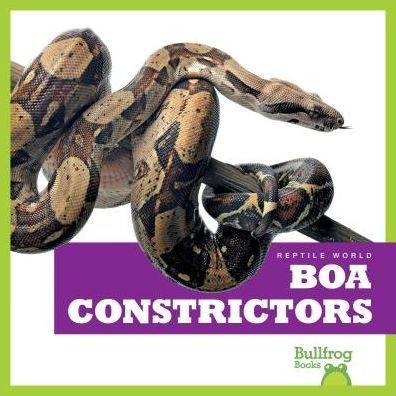 Boa Constrictors