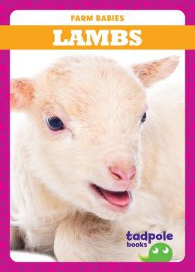 Lambs
