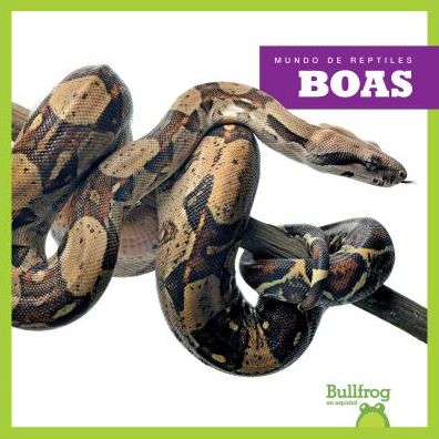 Boas (Boa Constrictors)