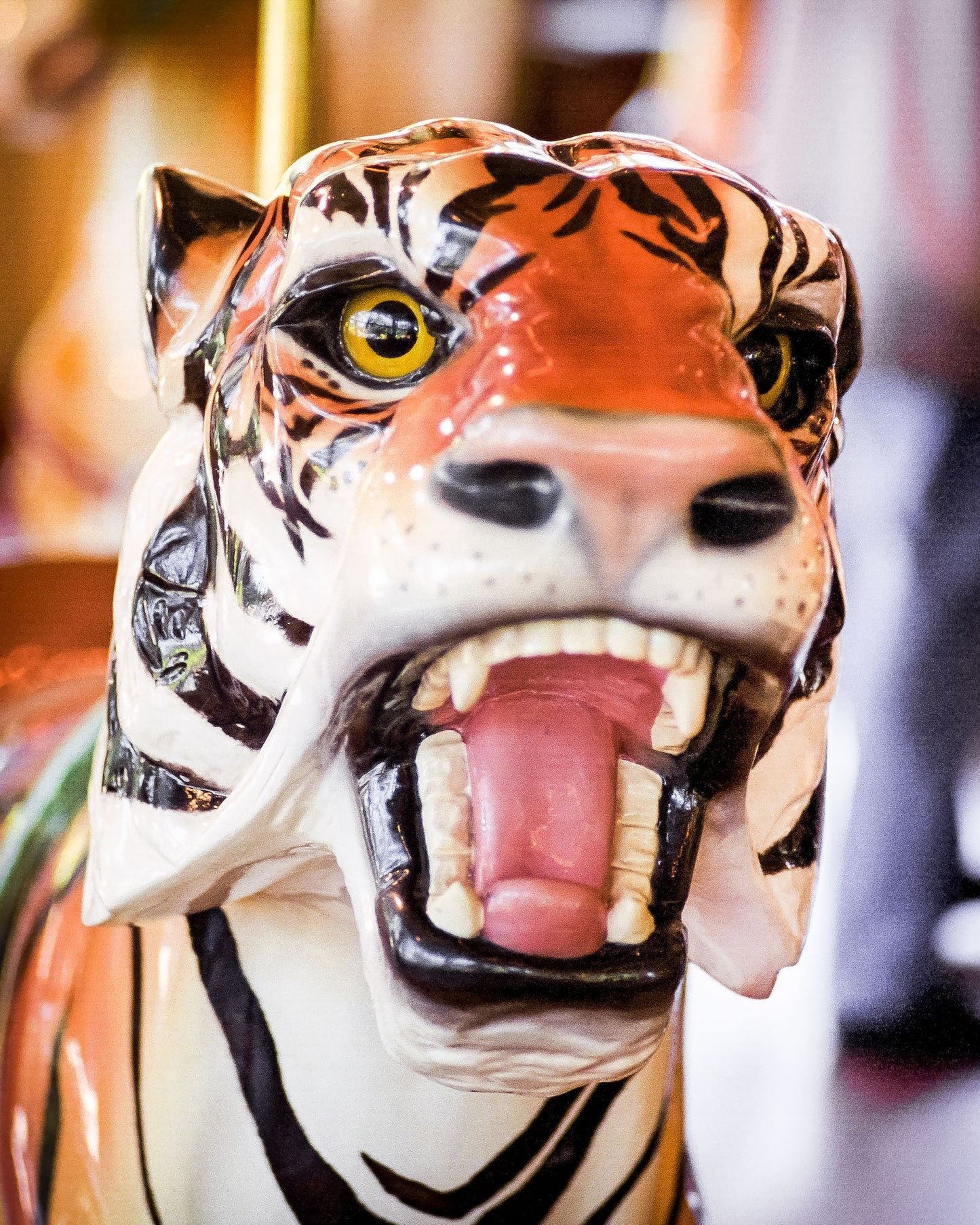 Circles of Delight: Classic Carousels of San Francisco