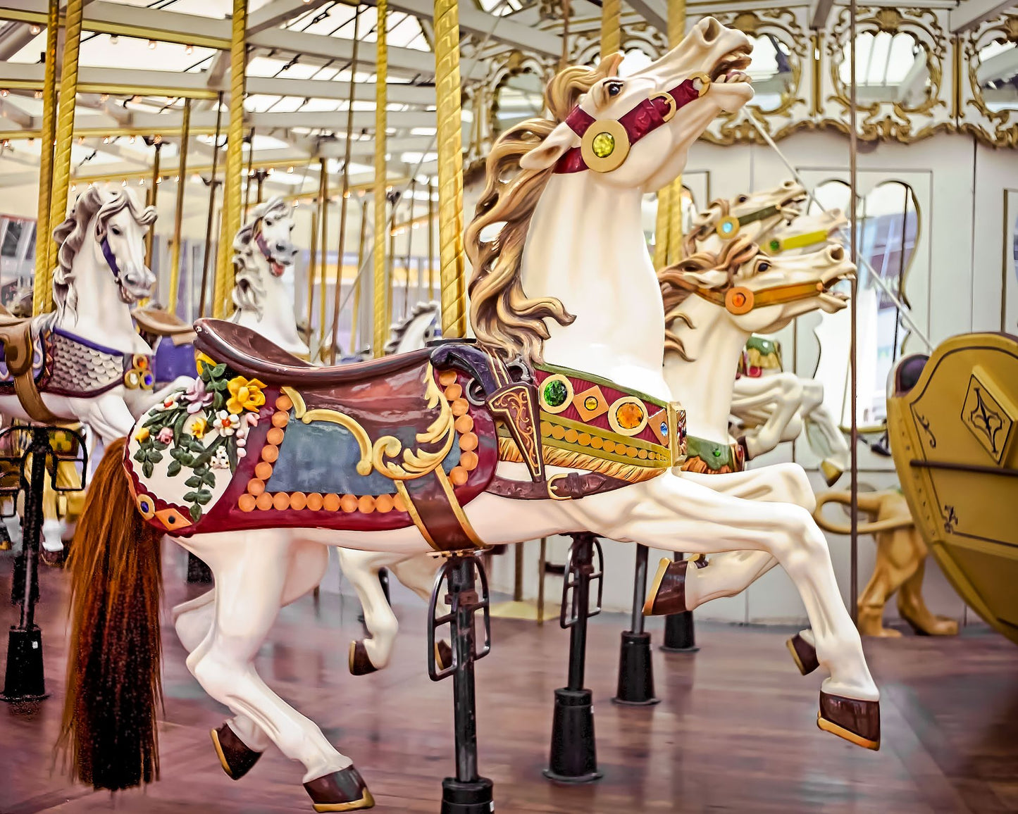 Circles of Delight: Classic Carousels of San Francisco