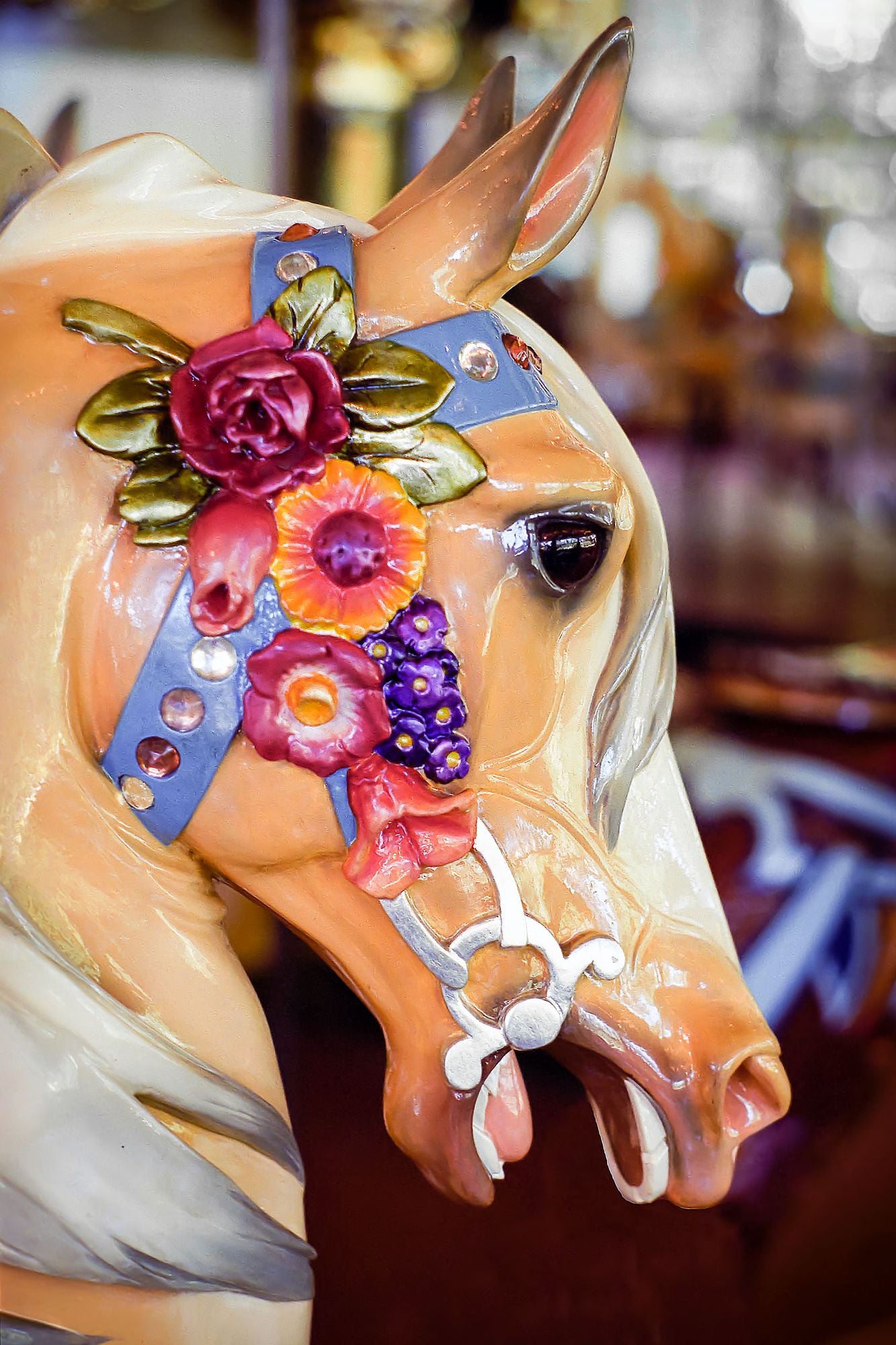 Circles of Delight: Classic Carousels of San Francisco