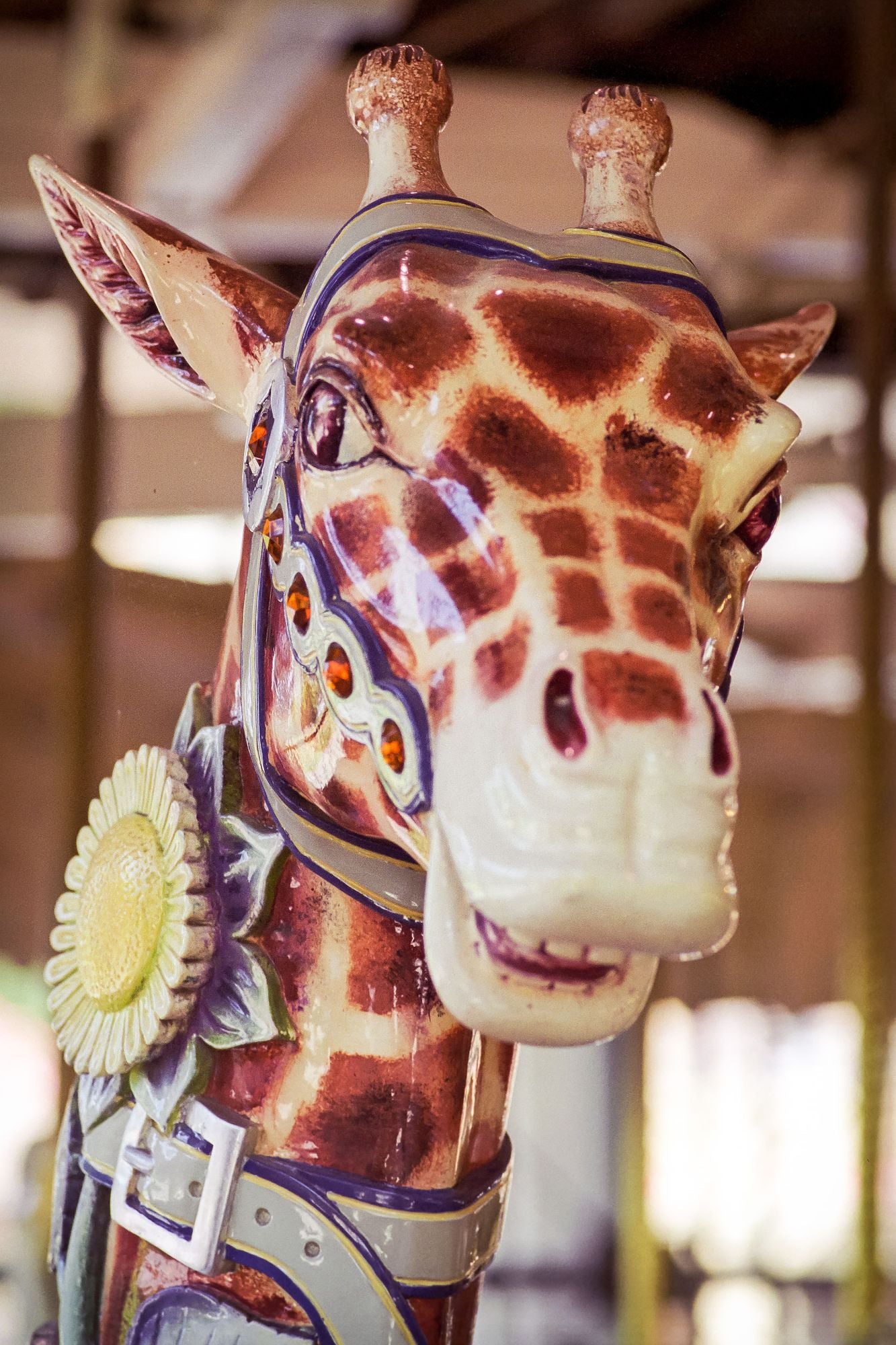 Circles of Delight: Classic Carousels of San Francisco