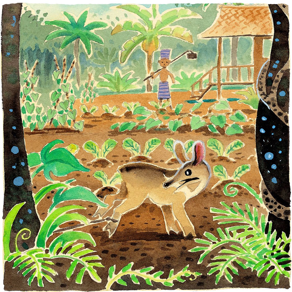 The Adventures of Mouse Deer: Favorite Tales of Southeast Asia