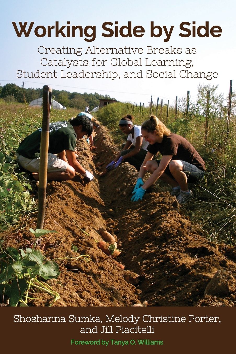 Working Side by Side: Creating Alternative Breaks as Catalysts for Global Learning, Student Leadership, and Social Change