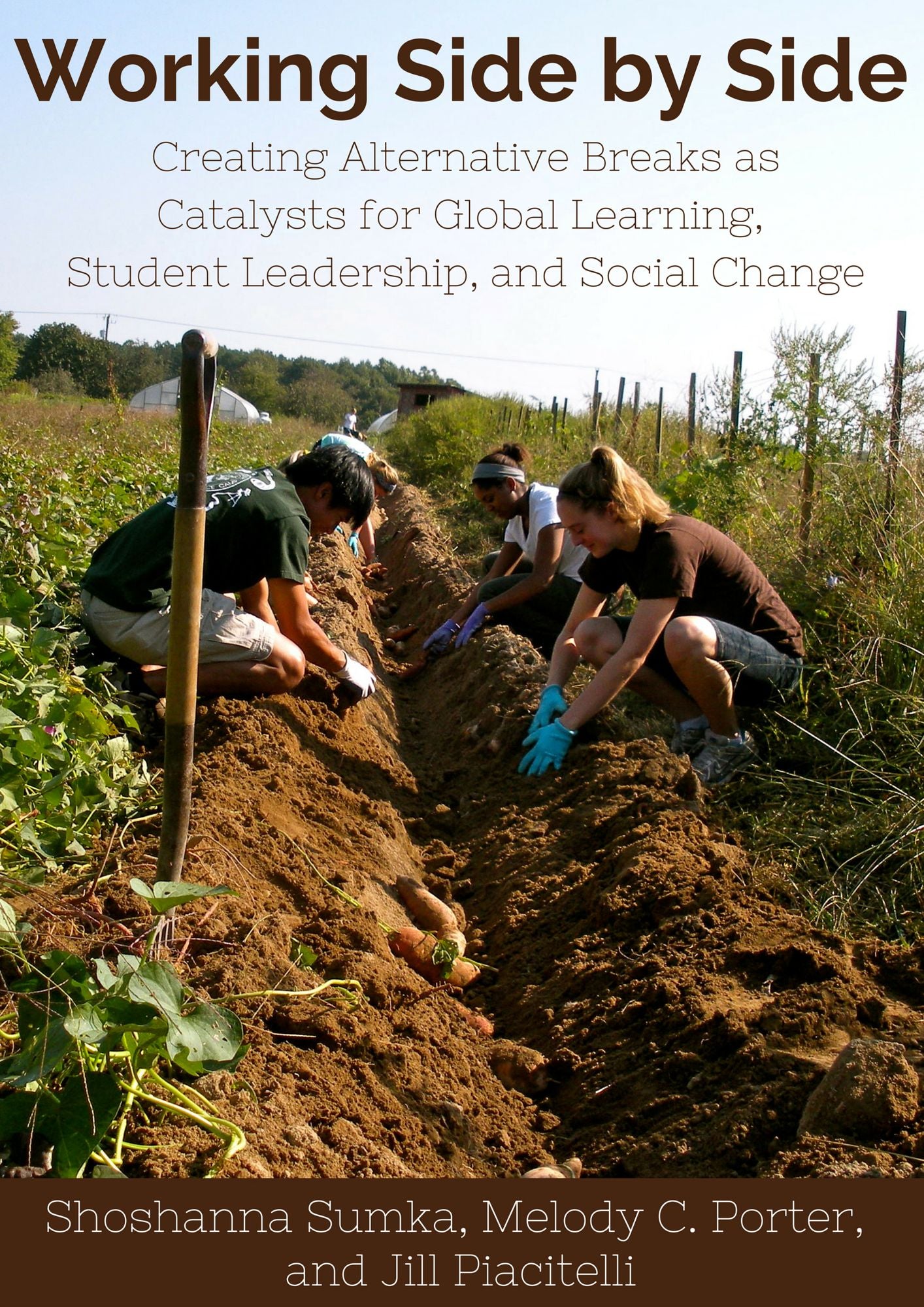 Working Side by Side: Creating Alternative Breaks as Catalysts for Global Learning, Student Leadership, and Social Change