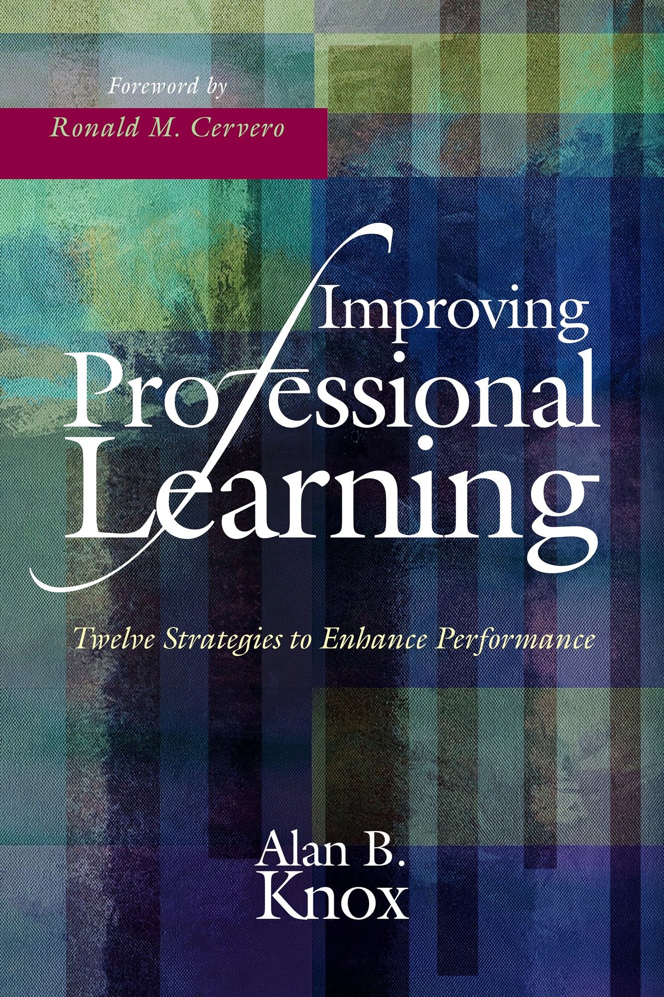Improving Professional Learning: Twelve Strategies to Enhance Performance