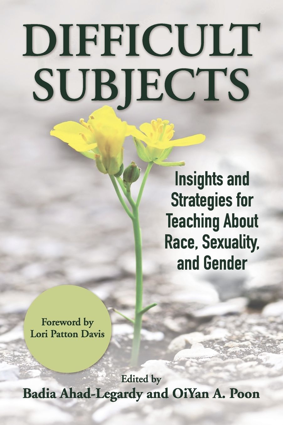 Difficult Subjects: Insights and Strategies for Teaching about Race, Sexuality, and Gender