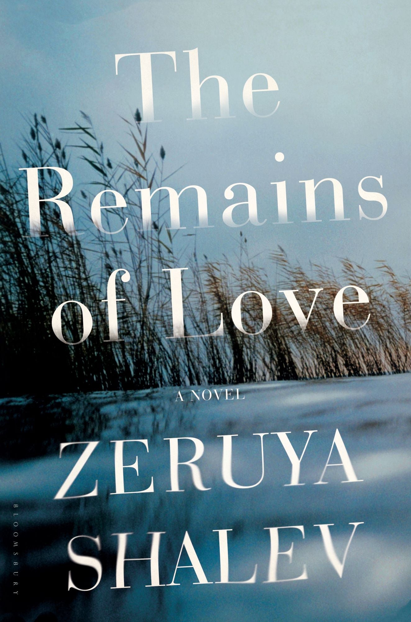 The Remains of Love: A Novel