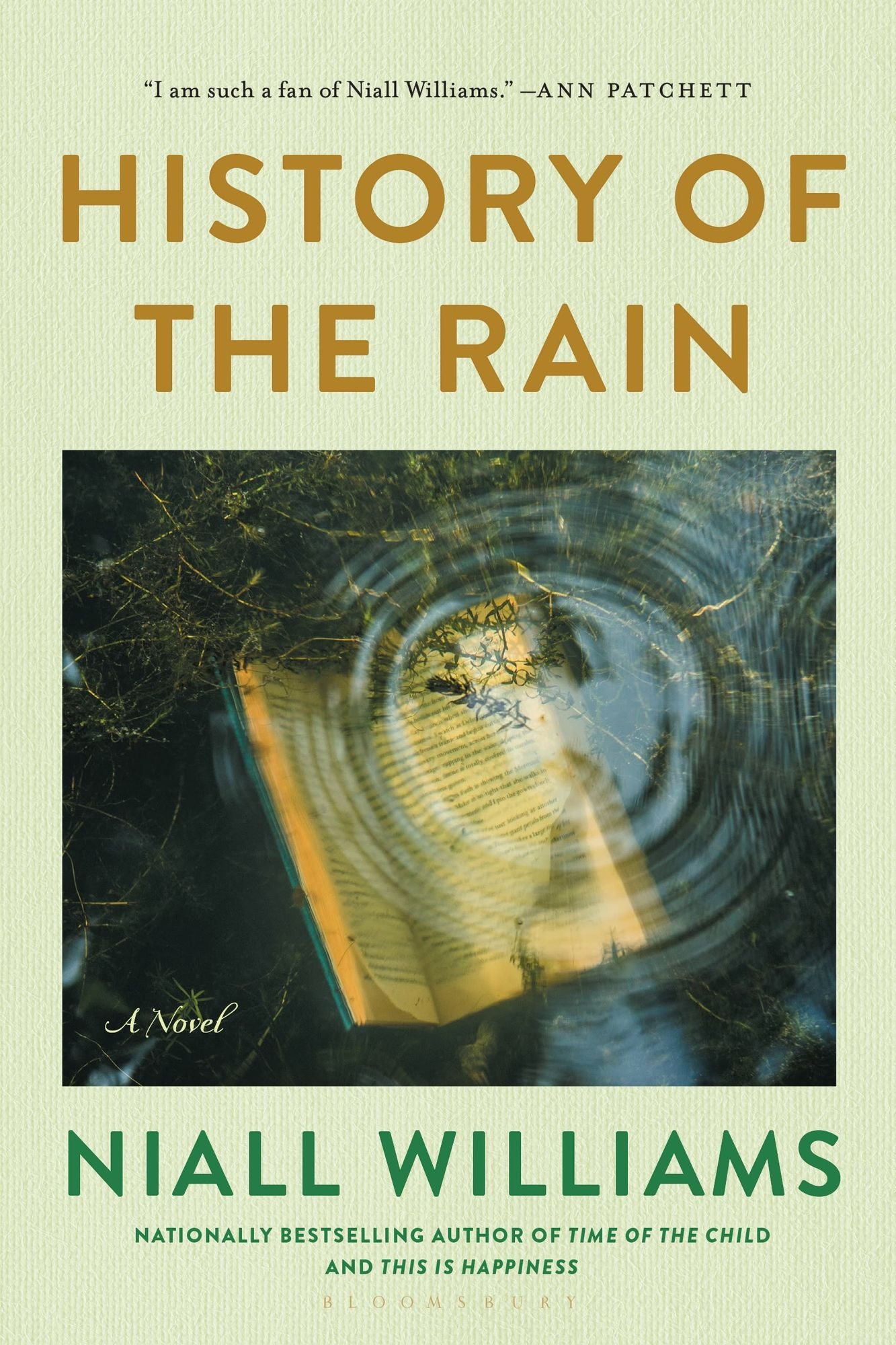 History of the Rain: A Novel