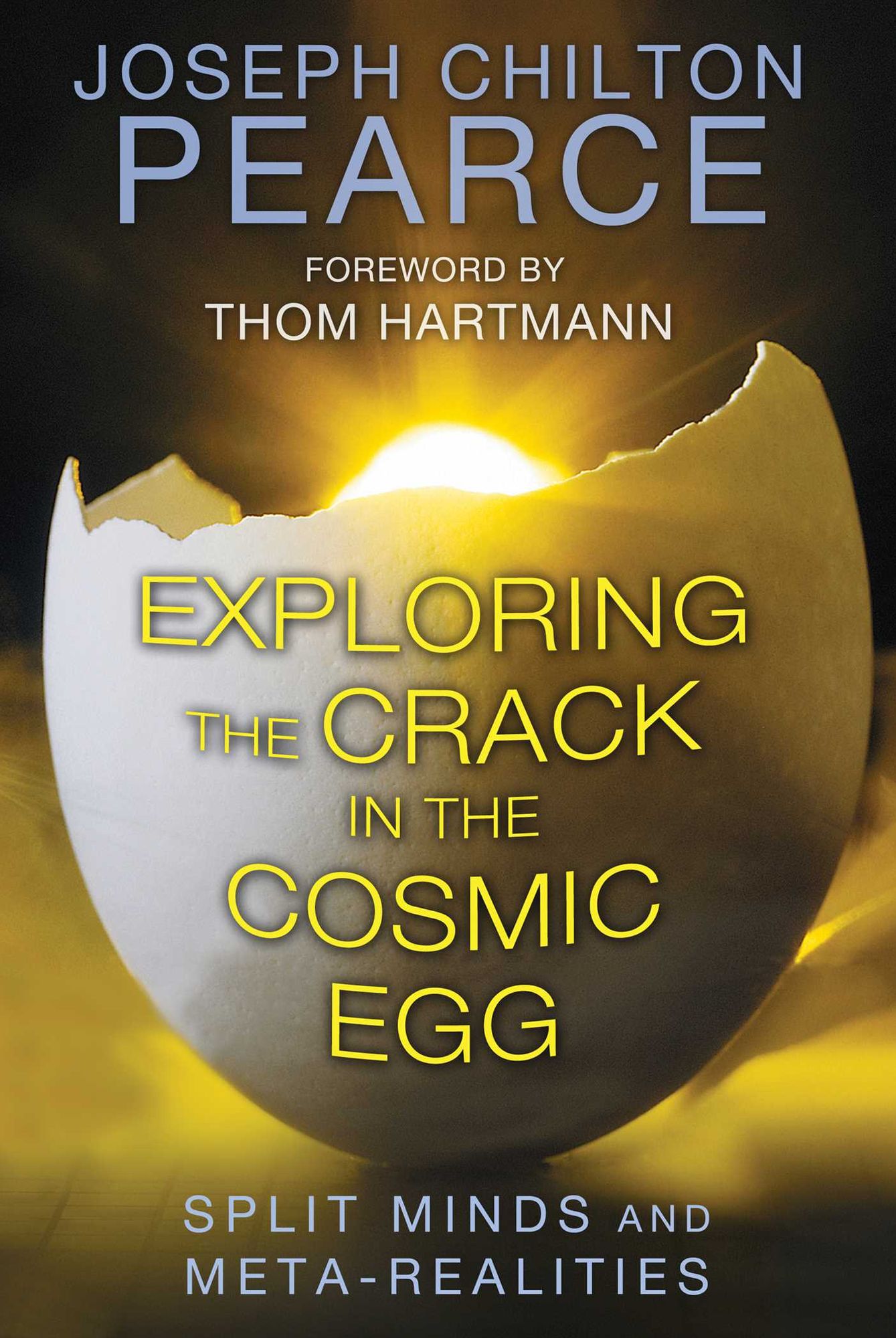 Exploring the Crack in the Cosmic Egg: Split Minds and Meta-Realities