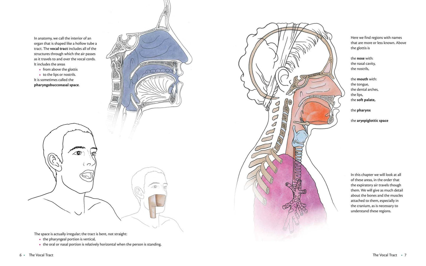 Anatomy of Voice: How to Enhance and Project Your Best Voice