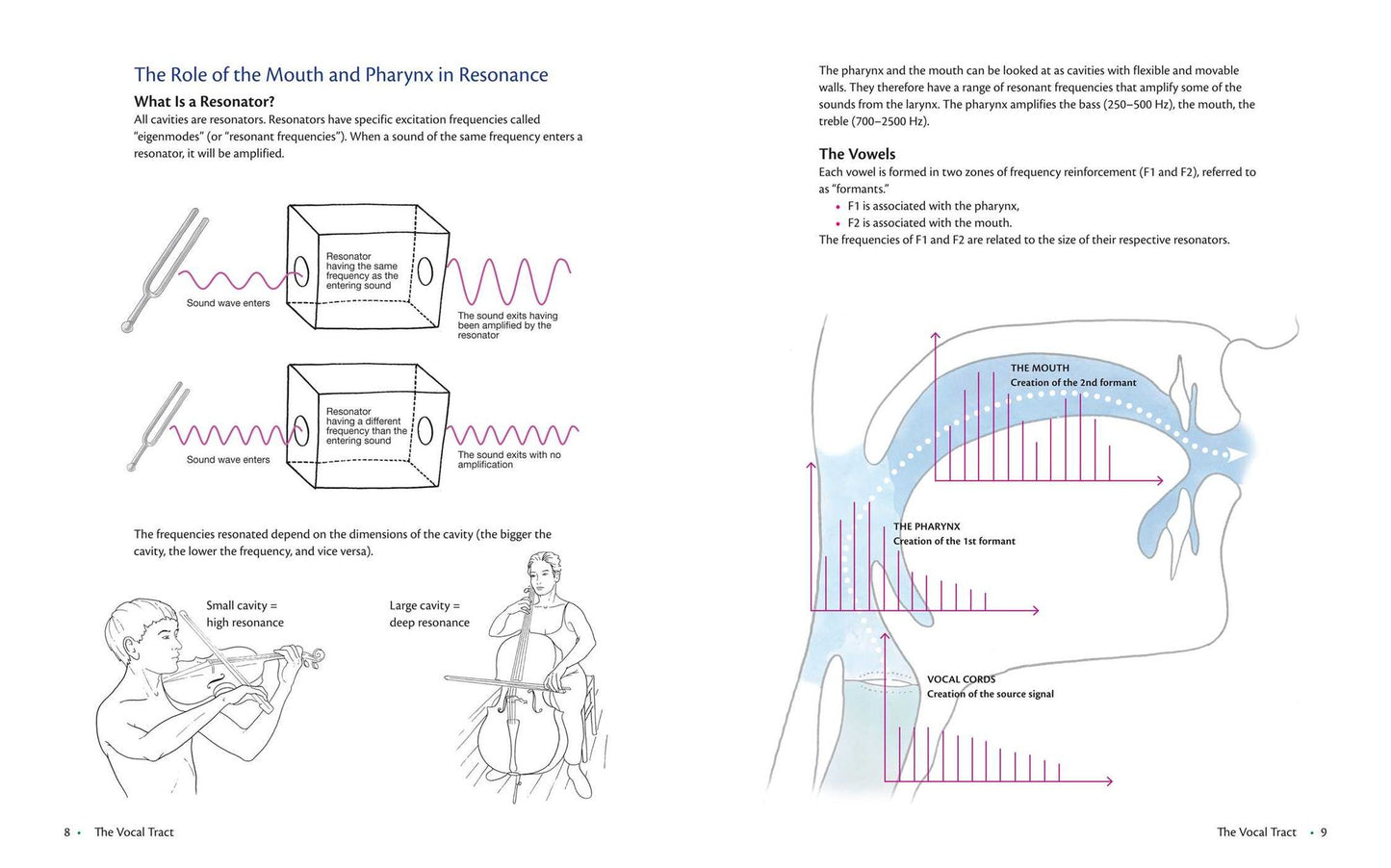 Anatomy of Voice: How to Enhance and Project Your Best Voice