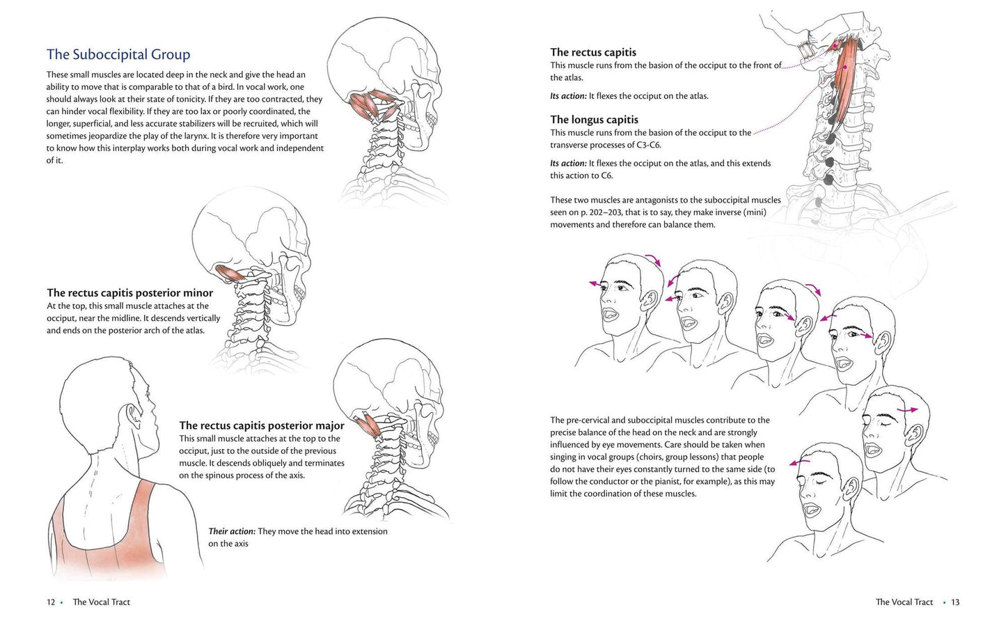 Anatomy of Voice: How to Enhance and Project Your Best Voice