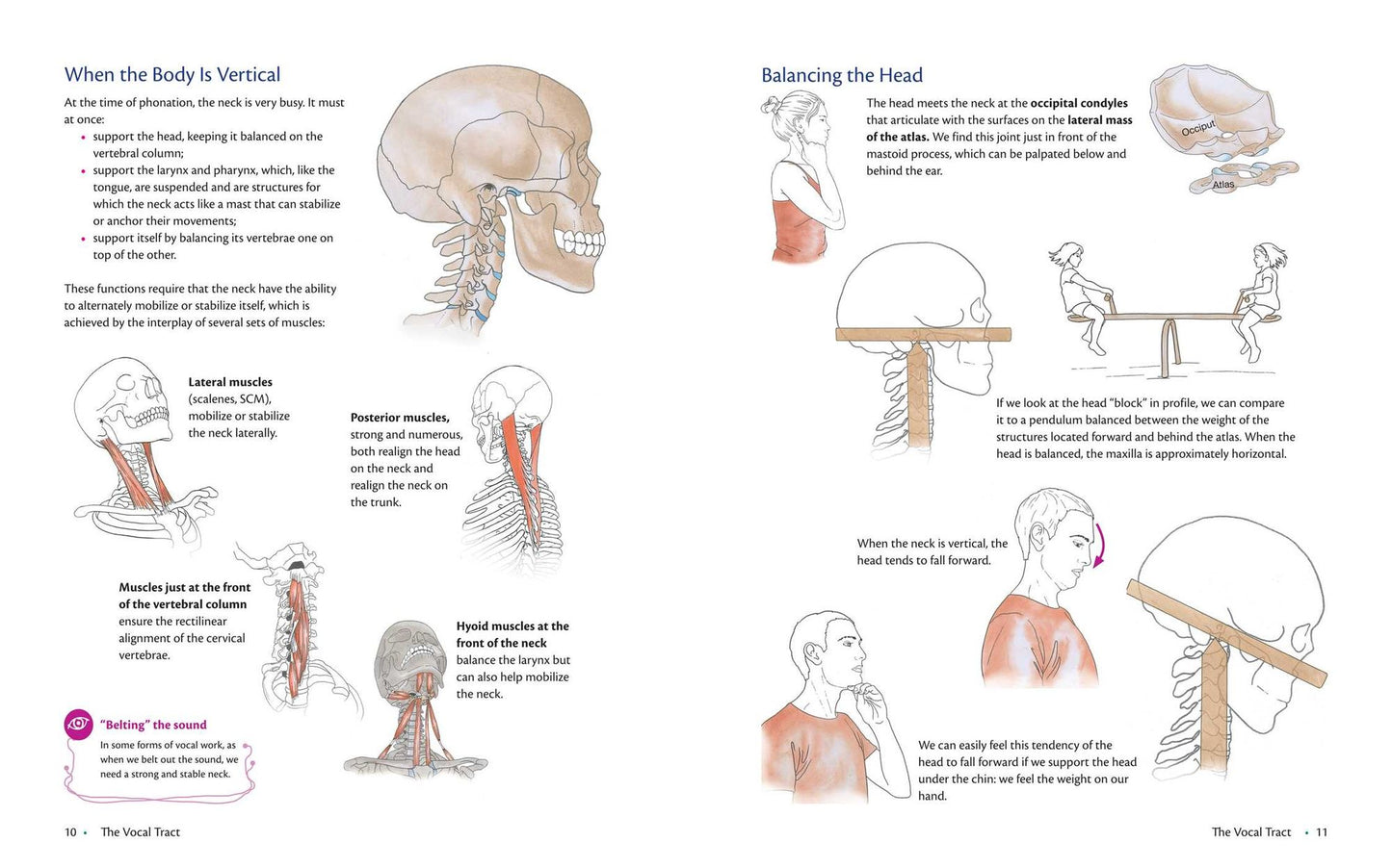 Anatomy of Voice: How to Enhance and Project Your Best Voice