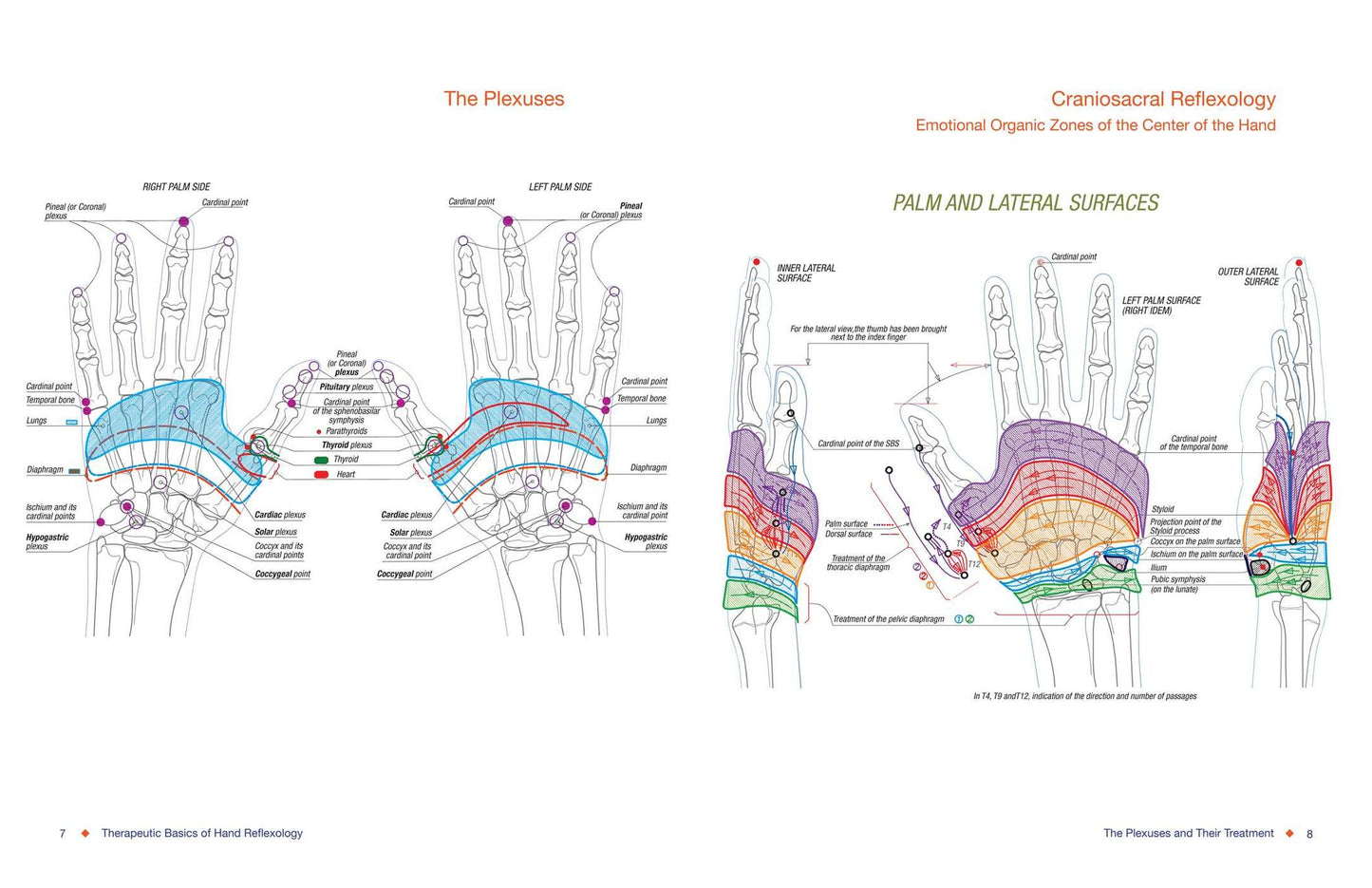 Total Reflexology of the Hand: An Advanced Guide to the Integration of Craniosacral Therapy and Reflexology