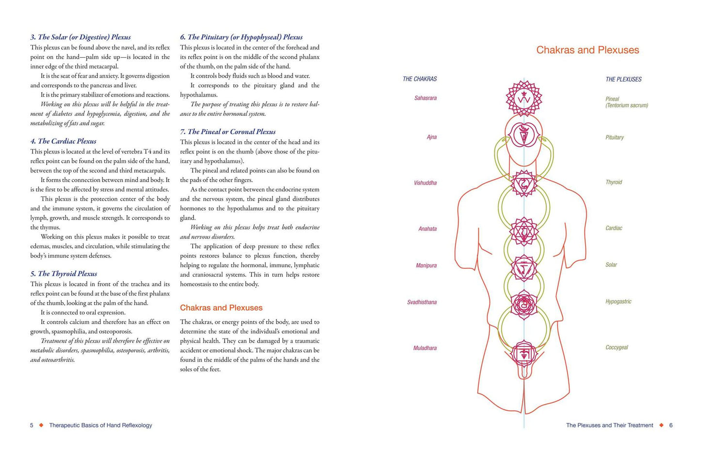 Total Reflexology of the Hand: An Advanced Guide to the Integration of Craniosacral Therapy and Reflexology