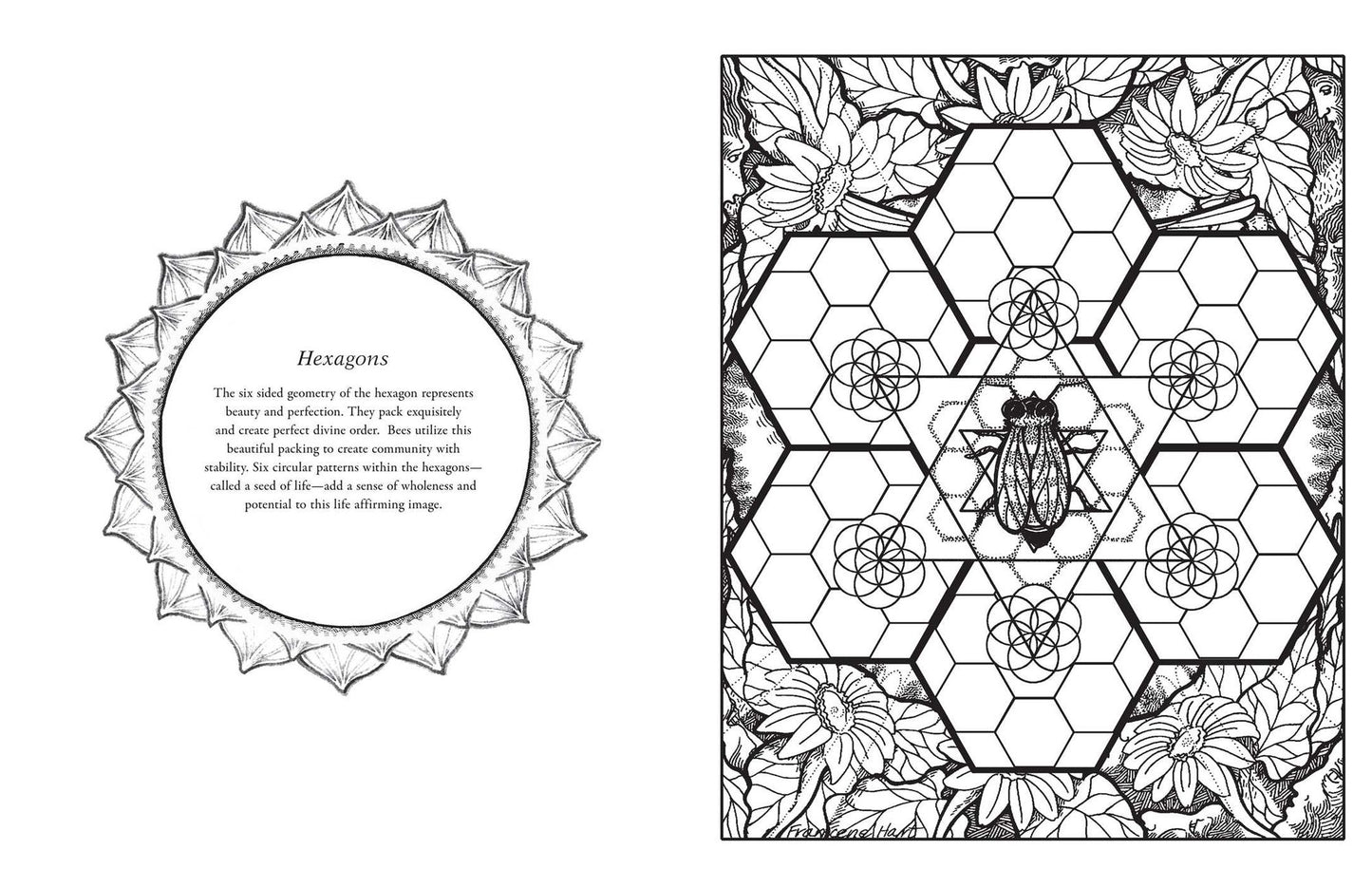 Sacred Geometry Coloring Book