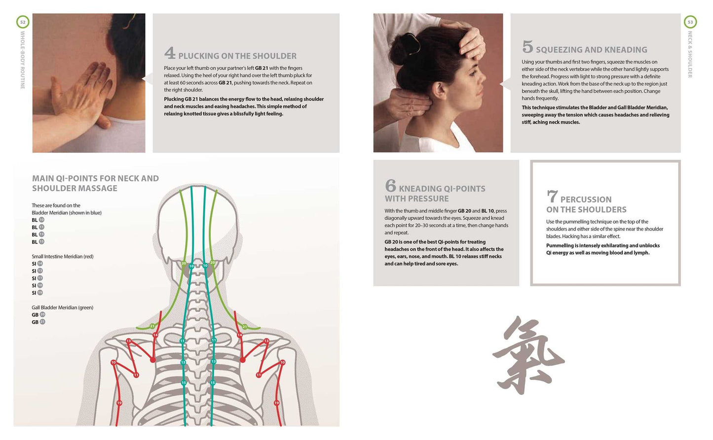 The Tui Na Manual: Chinese Massage to Awaken Body and Mind