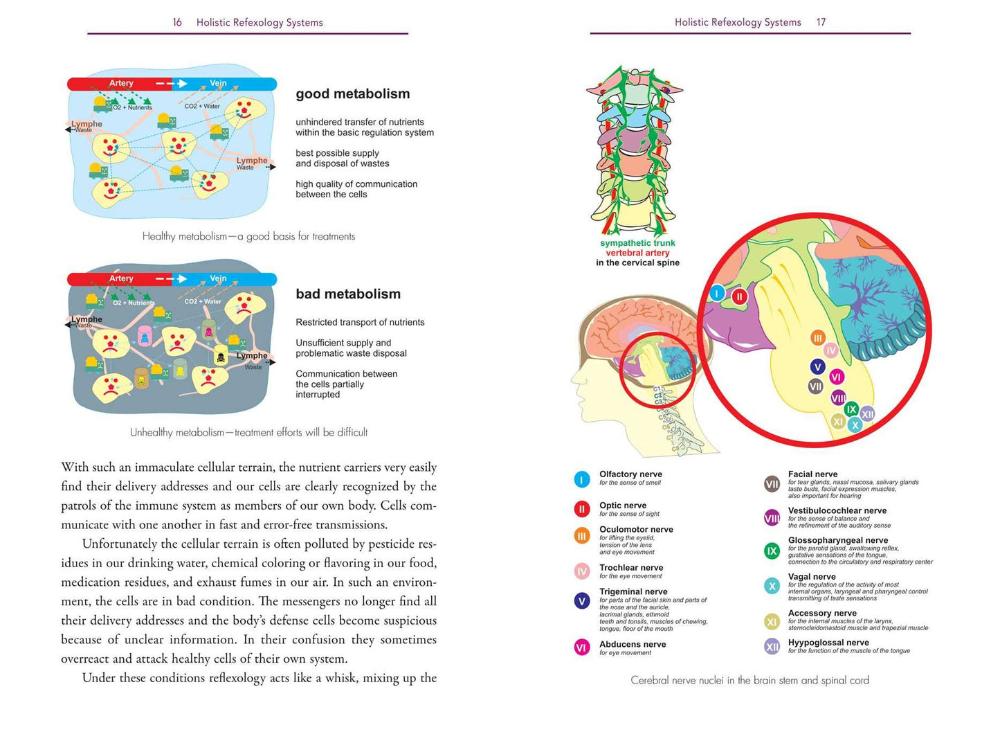 Holistic Reflexology: Essential Oils and Crystal Massage in Reflex Zone Therapy