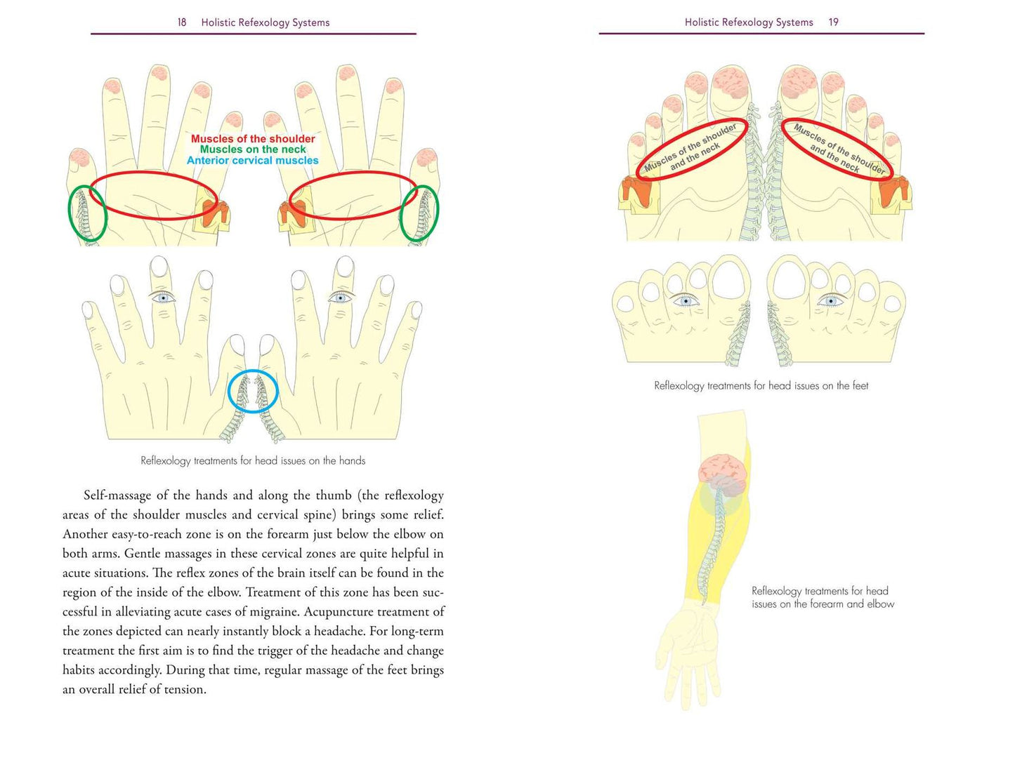Holistic Reflexology: Essential Oils and Crystal Massage in Reflex Zone Therapy