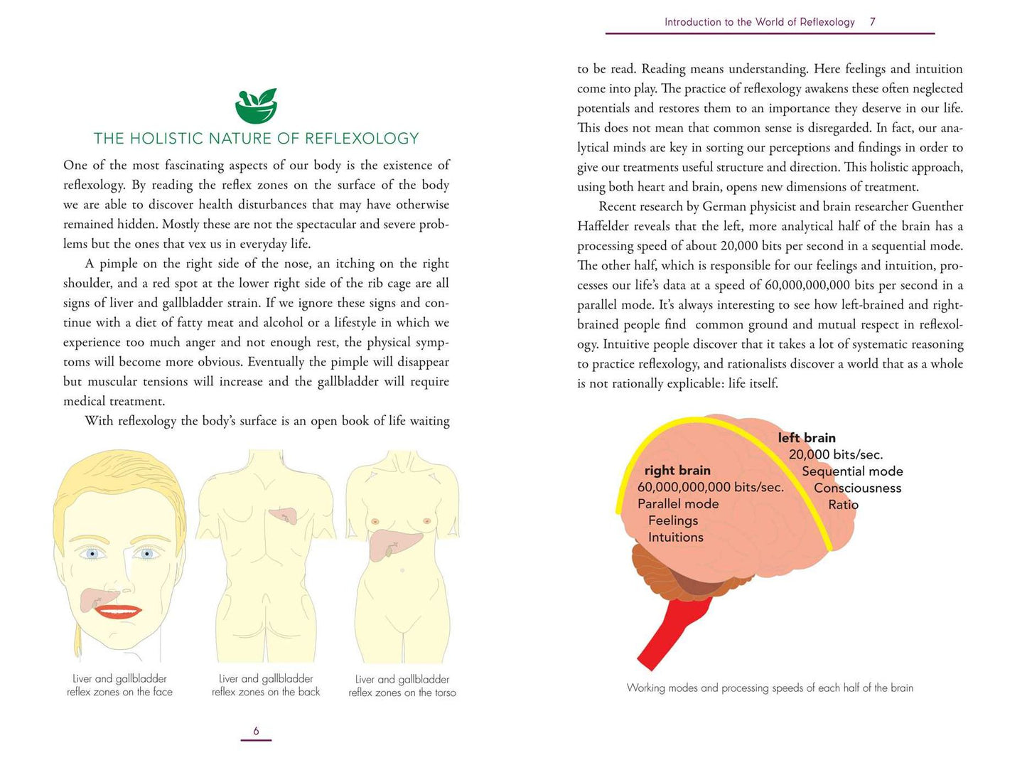 Holistic Reflexology: Essential Oils and Crystal Massage in Reflex Zone Therapy