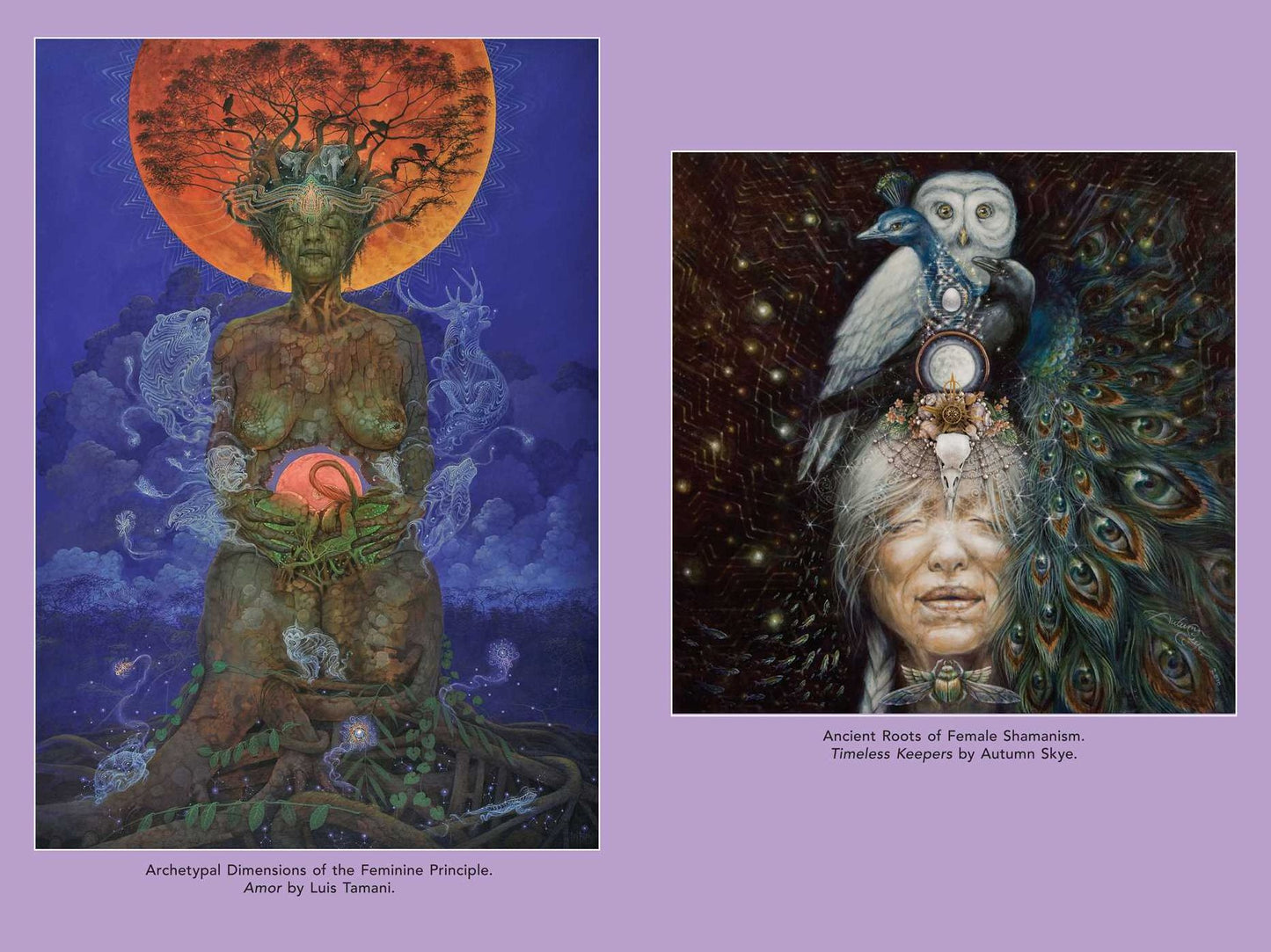 Psychedelic Mysteries of the Feminine: Creativity, Ecstasy, and Healing
