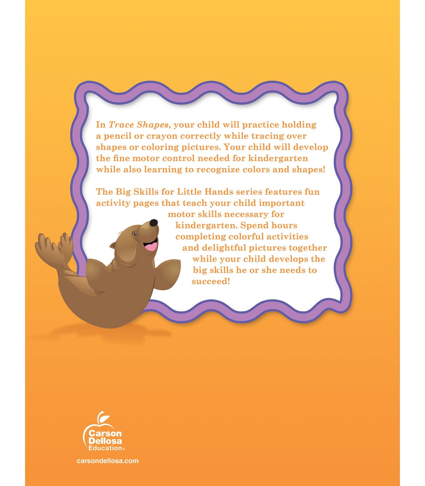 Trace Shapes Workbook, Grades Preschool - K