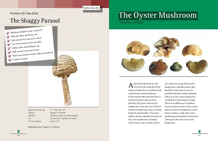 Mushrooming with Confidence: A Guide to Collecting Edible and Tasty Mushrooms