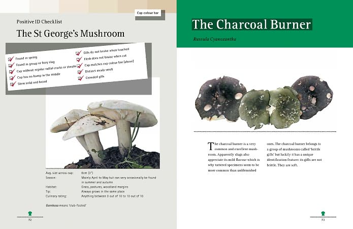 Mushrooming with Confidence: A Guide to Collecting Edible and Tasty Mushrooms