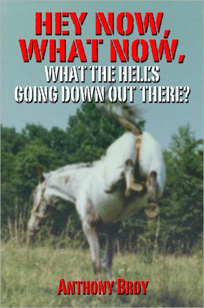 Hey Now, What Now: What The Hell's Going Down Out There?