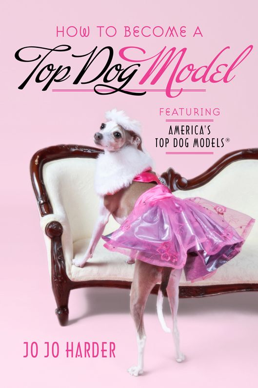 How to Become a Top Dog Model: Featuring America's Top Dog Models (R)