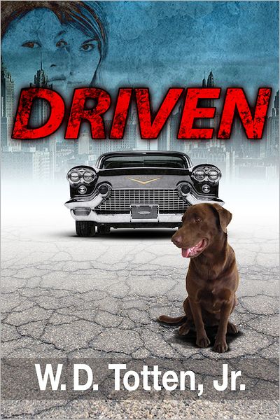 Driven: Chasing the American Dream